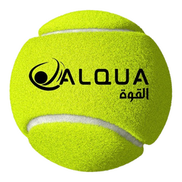 Durable Training Balls